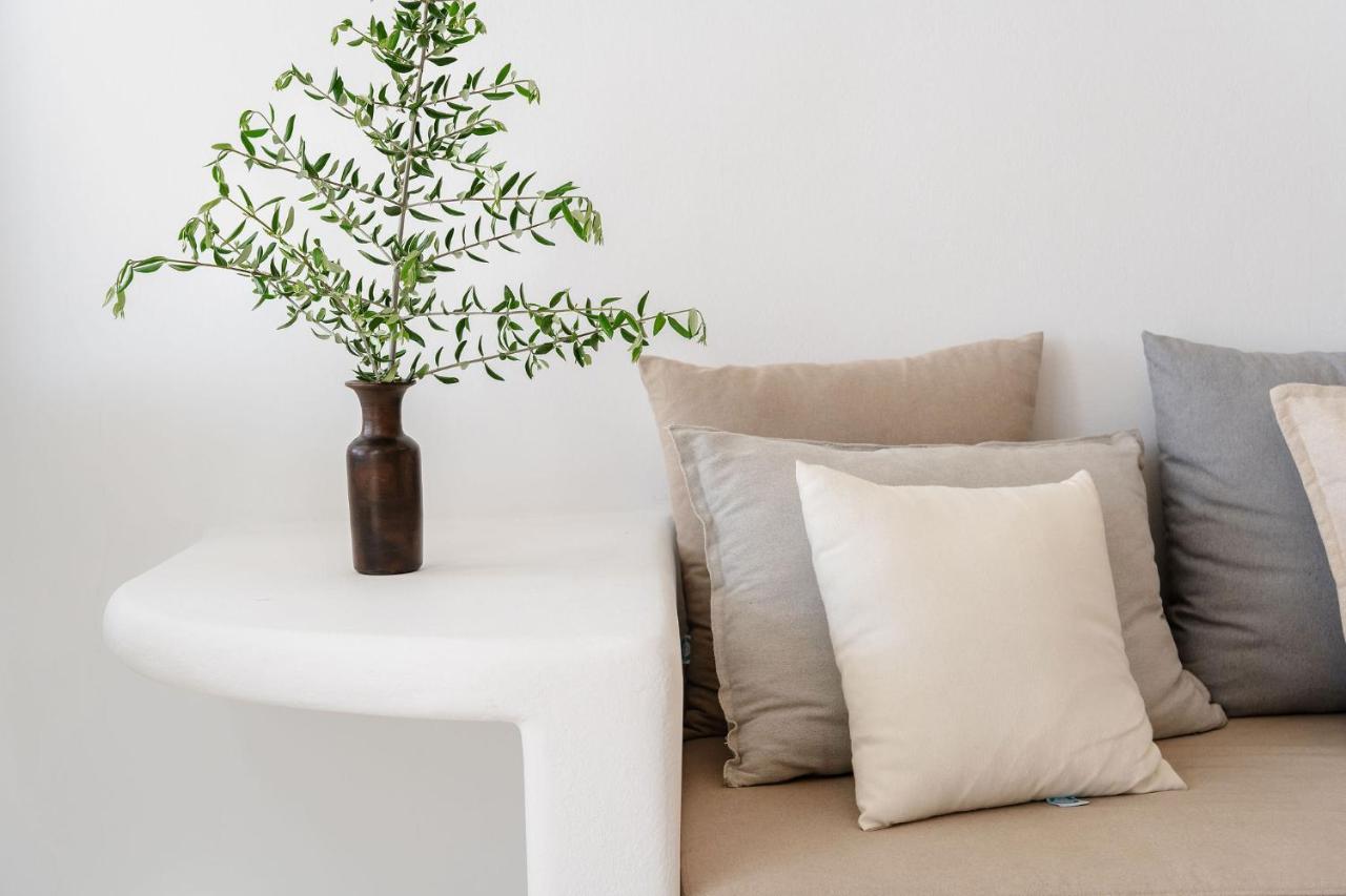 Villa Nausicaa Kastraki Naxos Naxos City Экстерьер фото