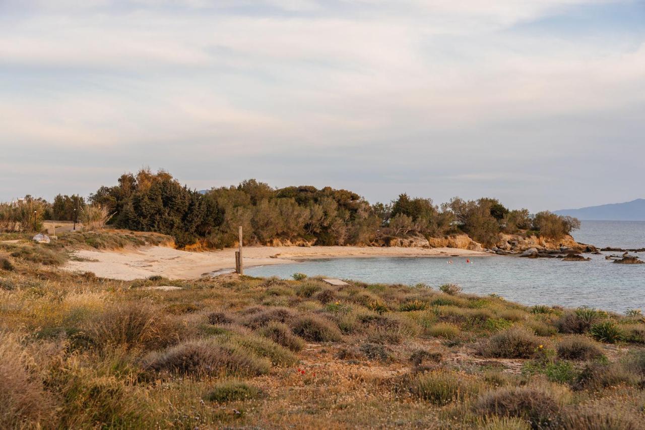 Villa Nausicaa Kastraki Naxos Naxos City Экстерьер фото